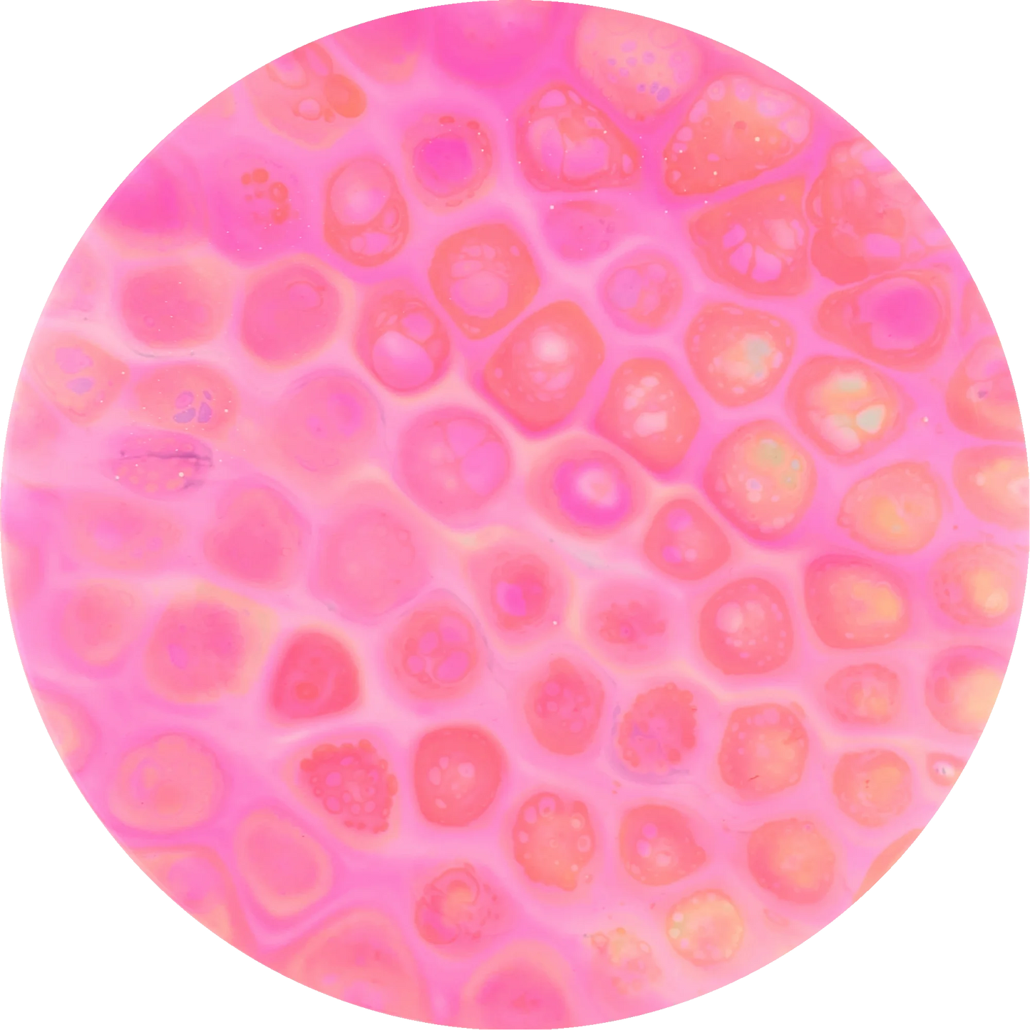 Bursprak Farver ESP Buzzz Bottom Stamp