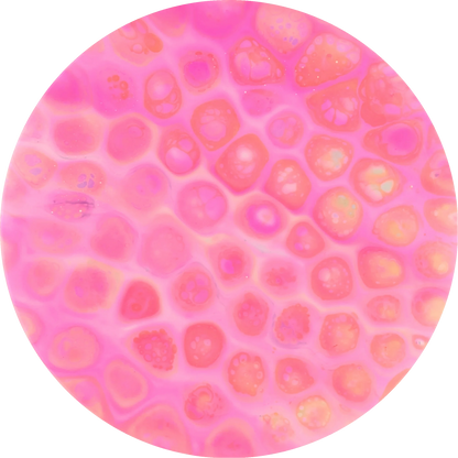 Bursprak Farver ESP Buzzz Bottom Stamp