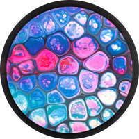 Bursprak Farver Fission Wave