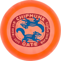 Proton 2025 MVP Open Engine