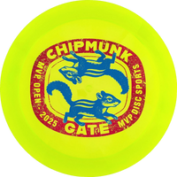 Proton 2025 MVP Open Engine