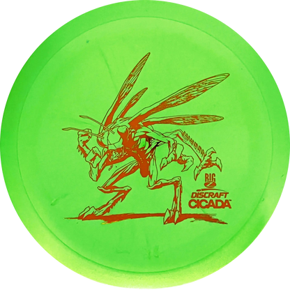 Big Z-Line Cicada