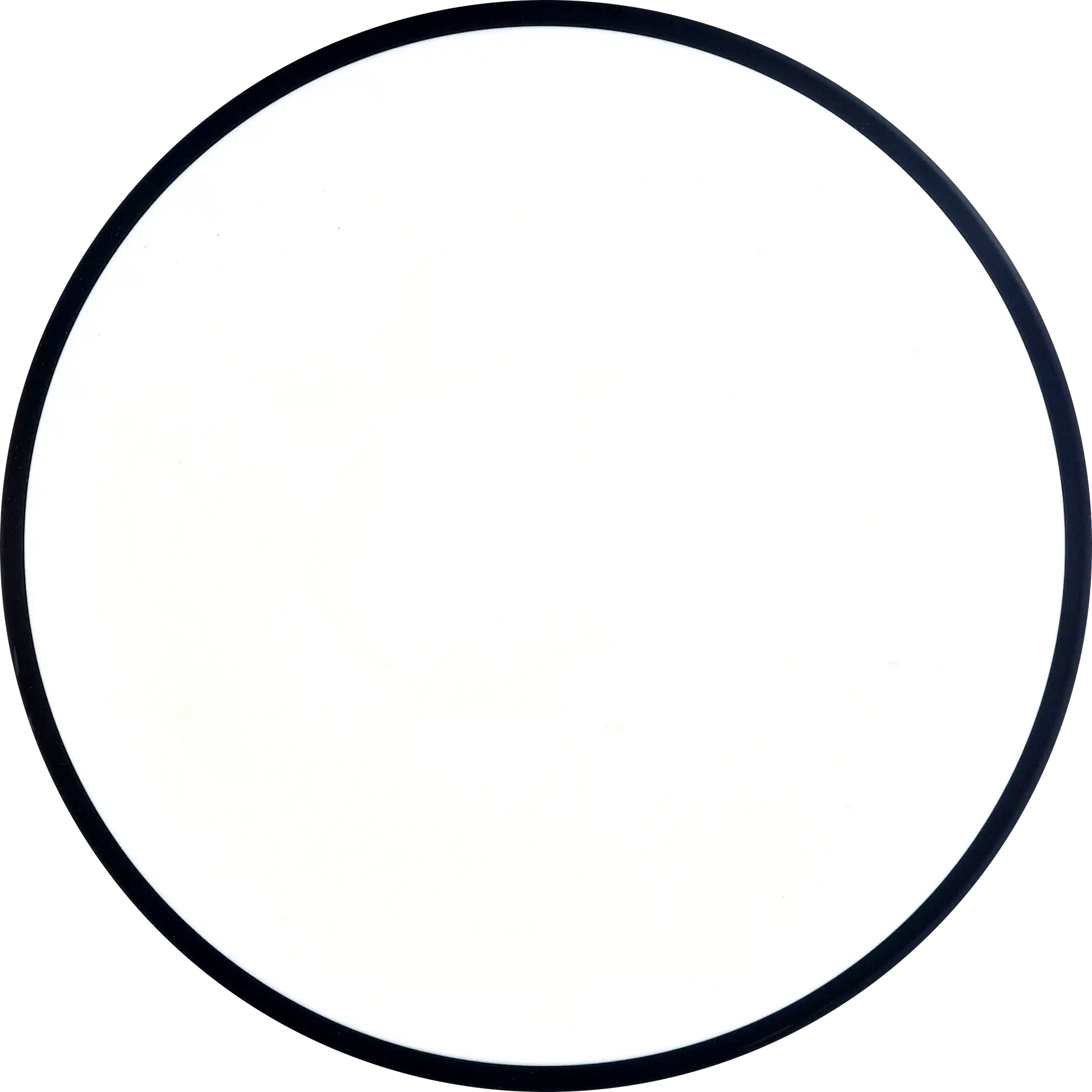 Neutron Detour Dyers Delight Classic